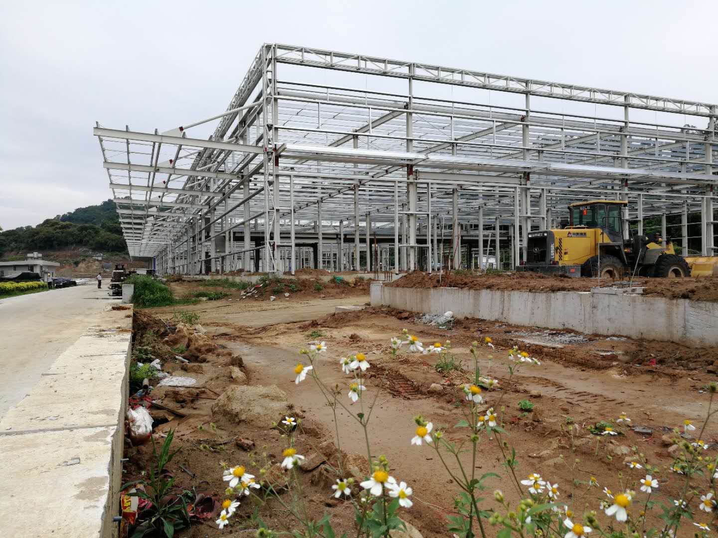 九游会·J9(中国游)官方网站-真人游戏第一品牌