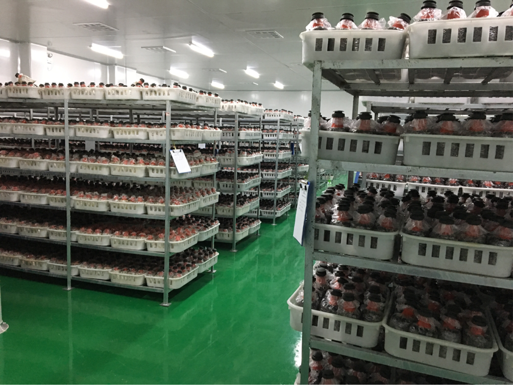 九游会·J9(中国游)官方网站-真人游戏第一品牌