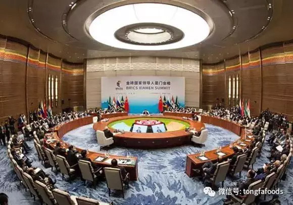 九游会·J9(中国游)官方网站-真人游戏第一品牌