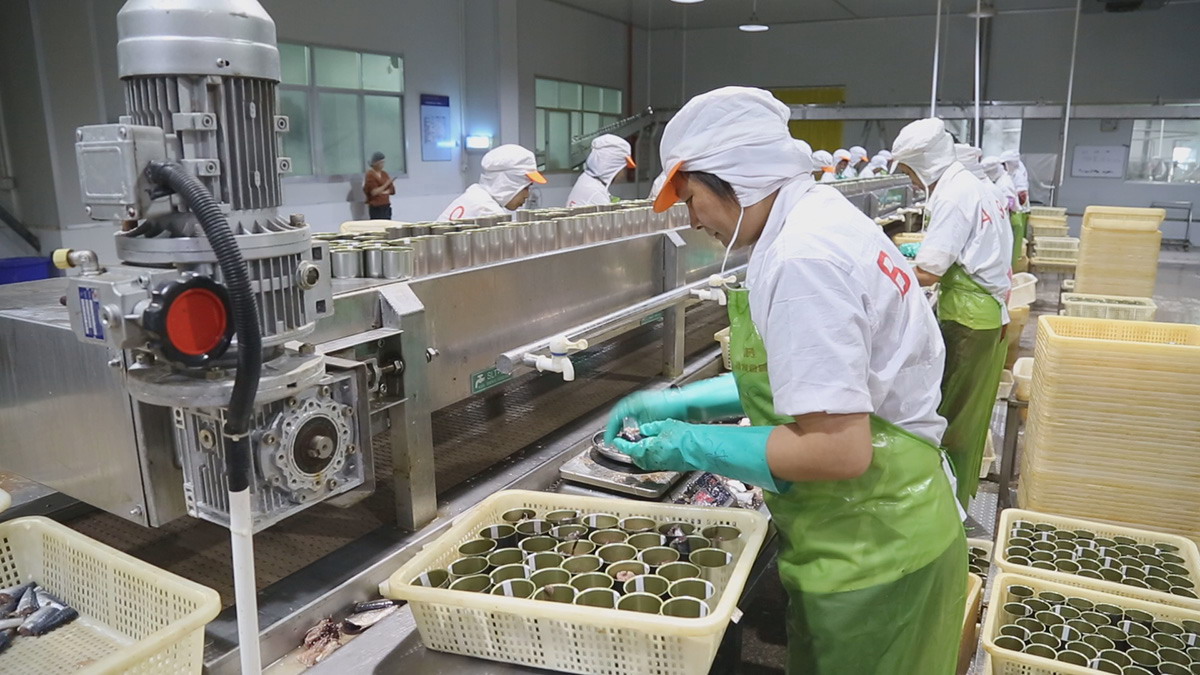 九游会·J9(中国游)官方网站-真人游戏第一品牌