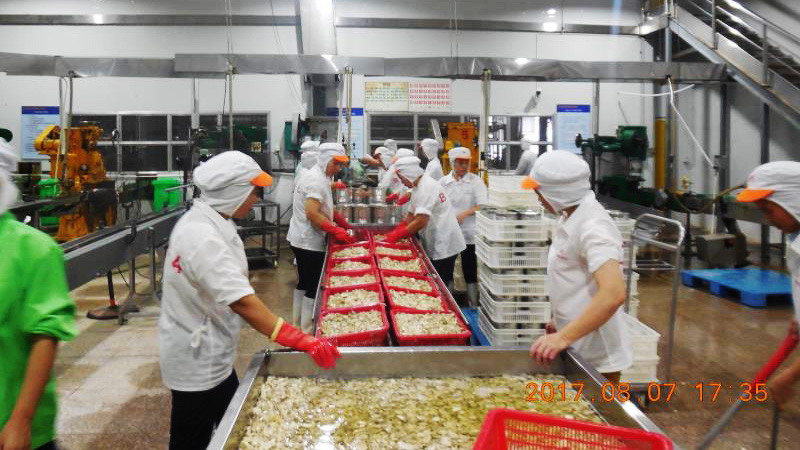 九游会·J9(中国游)官方网站-真人游戏第一品牌