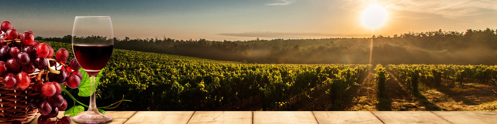 九游会·J9(中国游)官方网站-真人游戏第一品牌