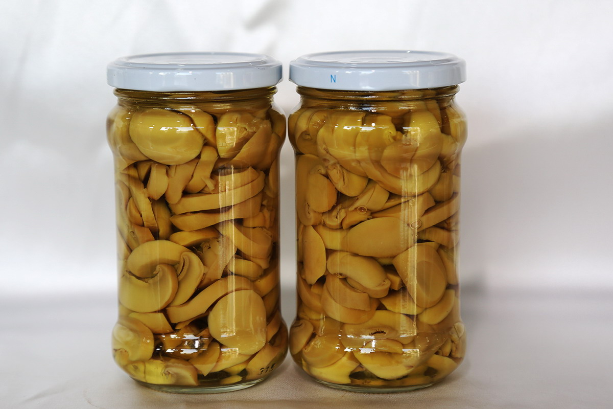 九游会·J9(中国游)官方网站-真人游戏第一品牌